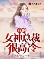 我的女神总裁很高冷