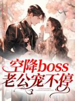 空降boss老公宠不停