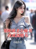 婚贴被老公秘书改成离婚书