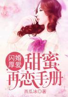 闪婚厚爱：甜蜜再恋手册