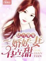 亿万豪宠：二婚娇妻有点甜