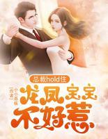 总裁hold住：龙凤宝宝不好惹