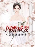 闪婚成爱：总裁强宠娇妻